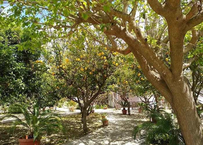 Residence Limoneto Ischia
