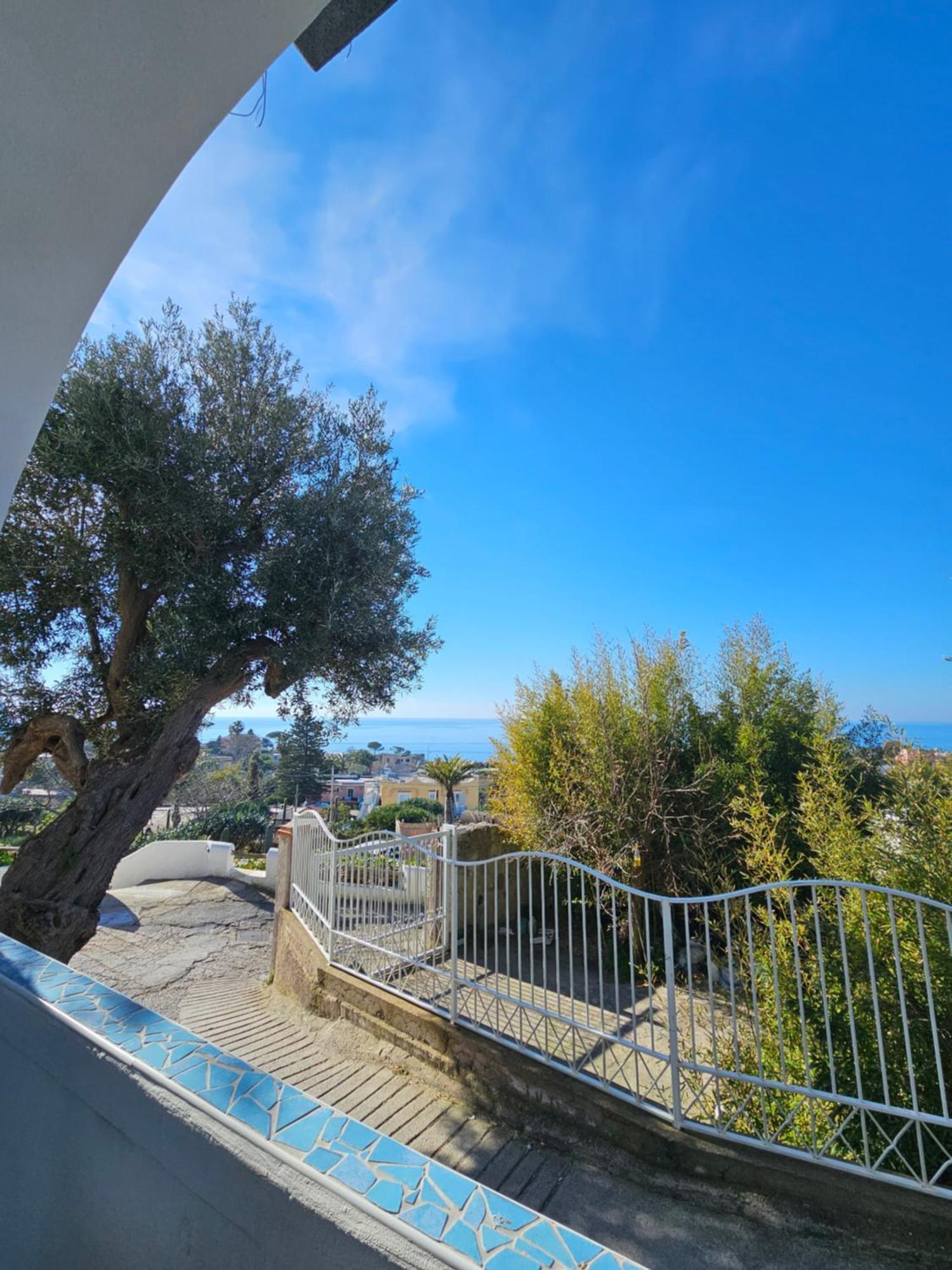 Vakantiehuis Limoneto Ischia *