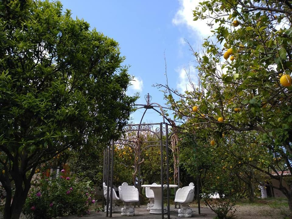 Vakantiehuis Limoneto Ischia Forio di Ischia