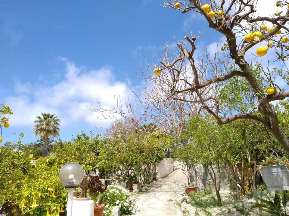 Vakantiehuis Limoneto Ischia Forio di Ischia