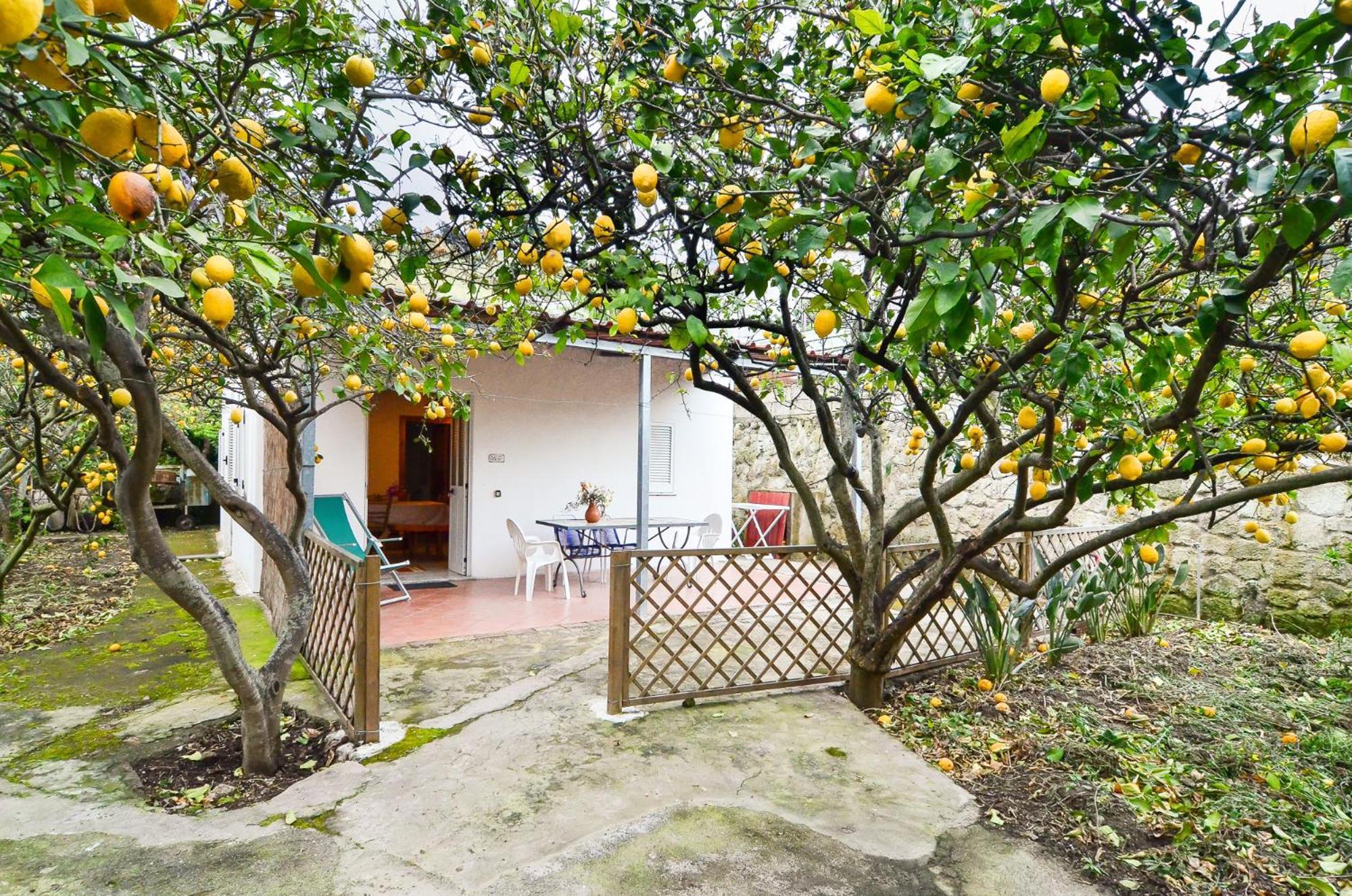 Limoneto Ischia Casa vacanze *