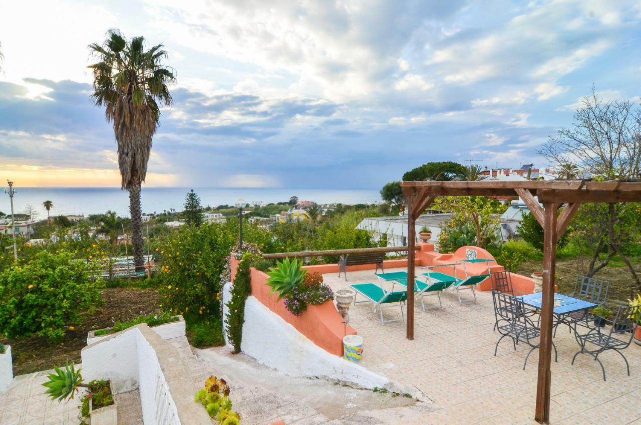 Limoneto Ischia Holiday home *