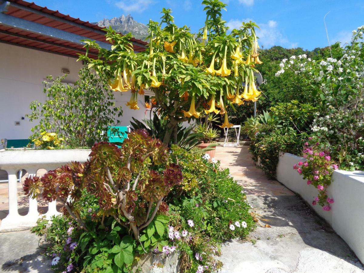Casa vacanze Limoneto Ischia Forio di Ischia