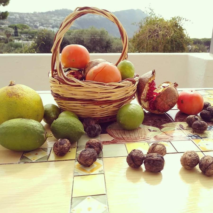 Casa vacanze Limoneto Ischia Forio di Ischia