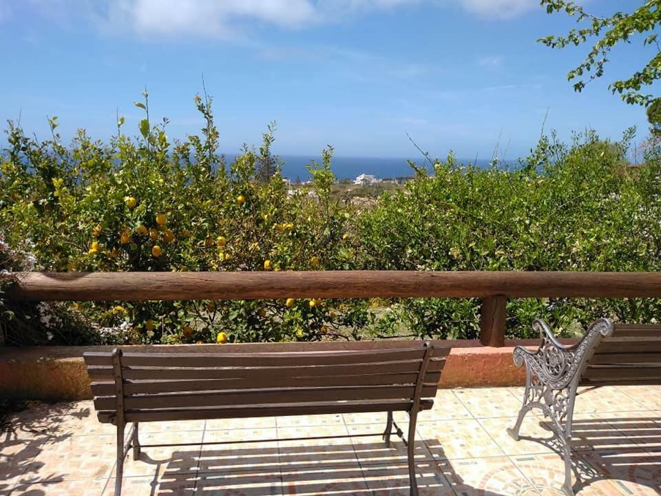 Limoneto Ischia Forio di Ischia